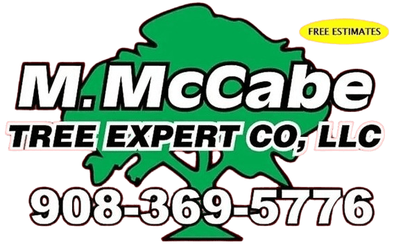 A picture of the logo for j. Mccabe tree expert co., ltd