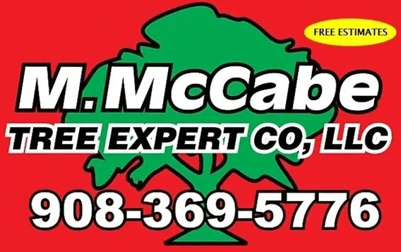 A red banner with trees and the words " j. Mccabe tree expert co., llc ".